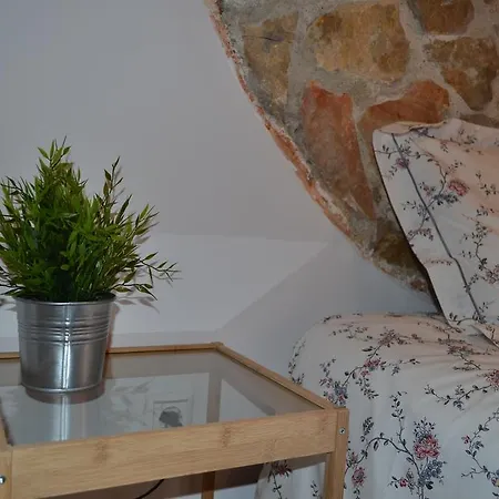 Apartment Janelas Verdes Studio *