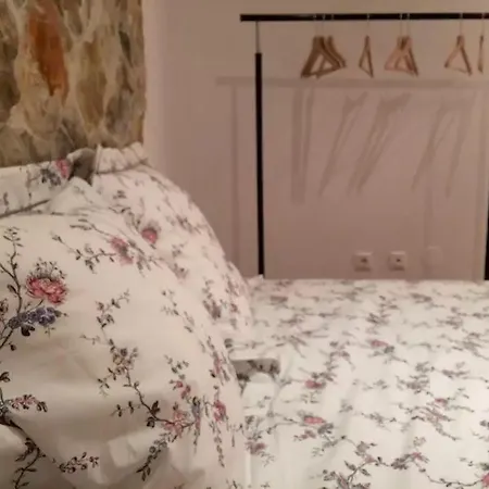 Janelas Verdes Studio Apartment *