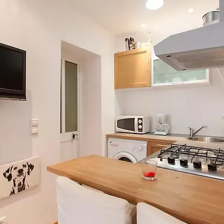 Apartment Janelas Verdes Studio